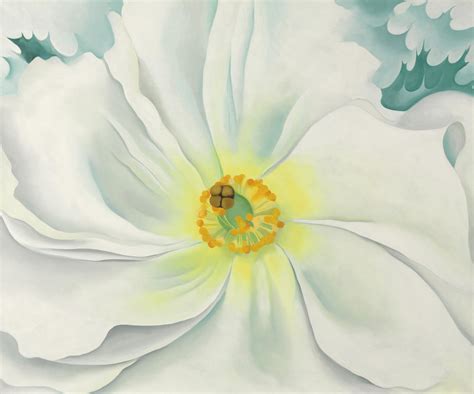 georgia o'keeffe white flower painting